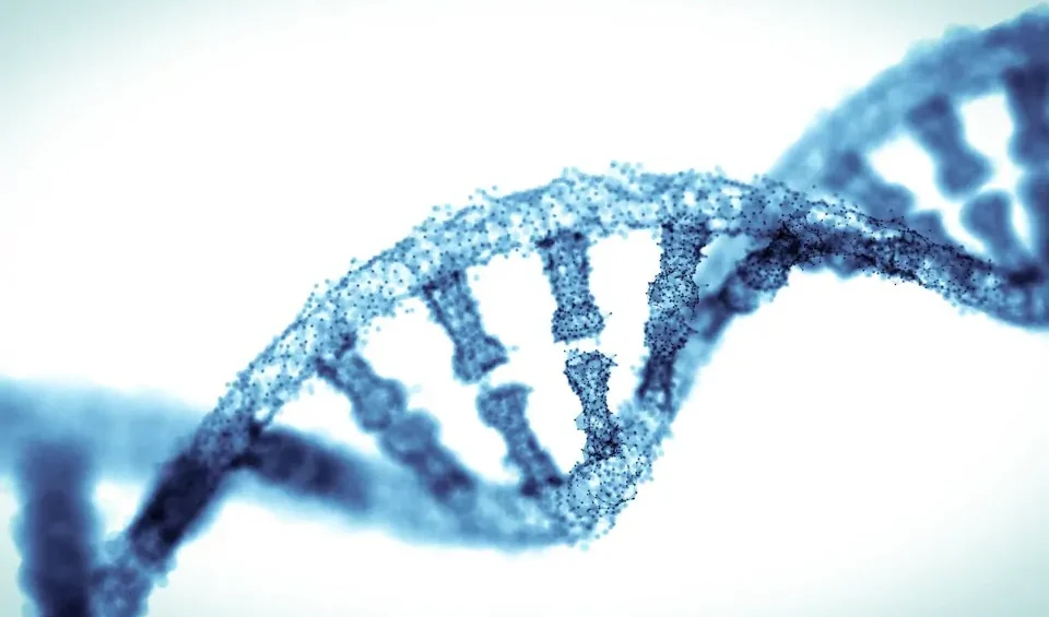 Nucleotides